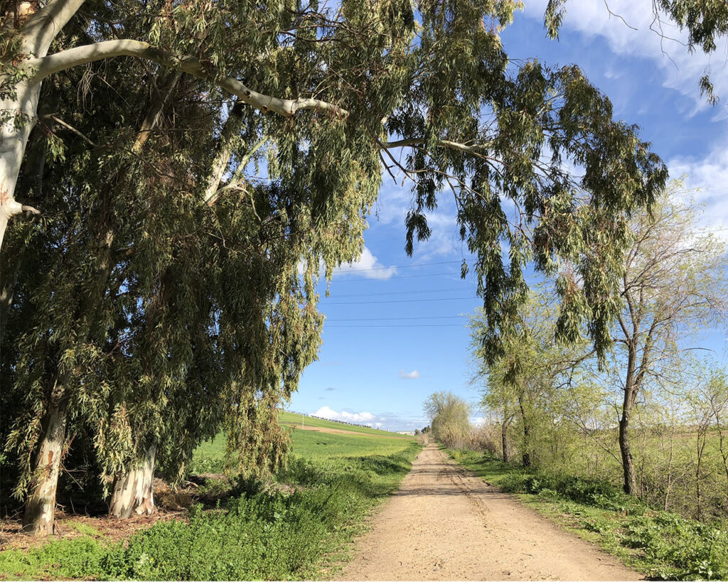 Ruta 14 a su paso por Finca La Simona